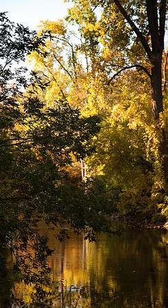 Chippewa River#1