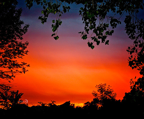 sunset@hill