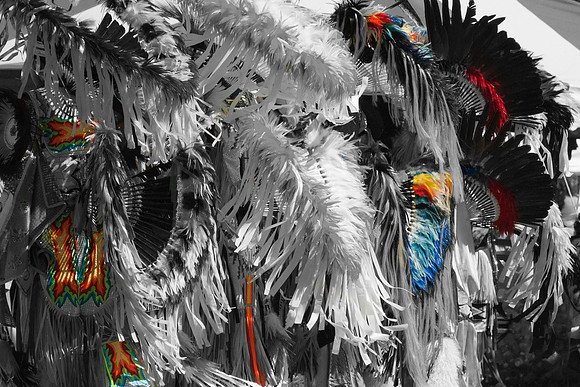 Native#37