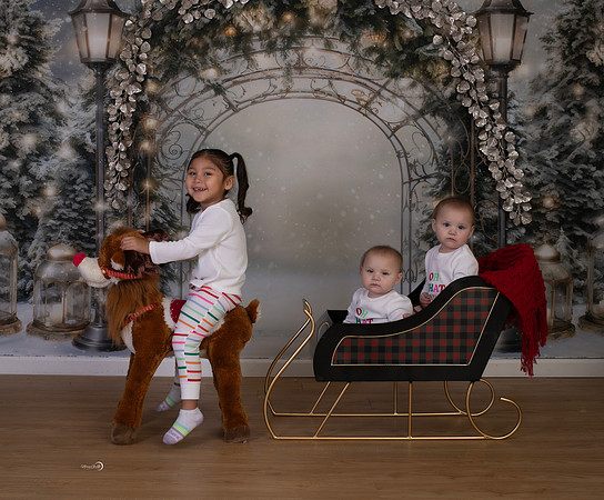 23