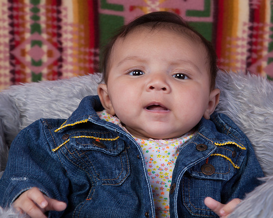 Baby Lilly