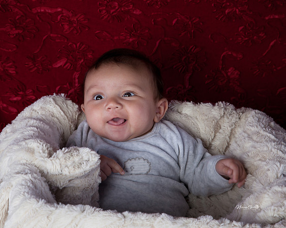 Baby Lilly