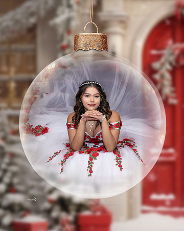 1-ChristmasOrnamentGlobeDigitalBackdrop-RedDoor copy