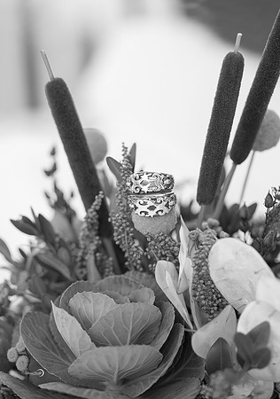 Pre Ceremony-354