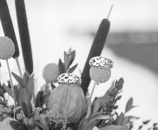 Pre Ceremony-355