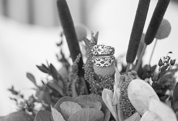 Pre Ceremony-353