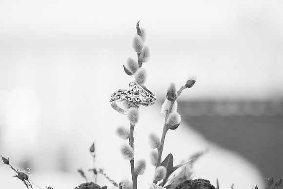 Pre Ceremony-359