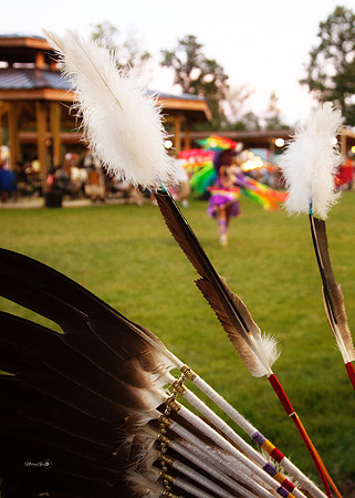 feathers2