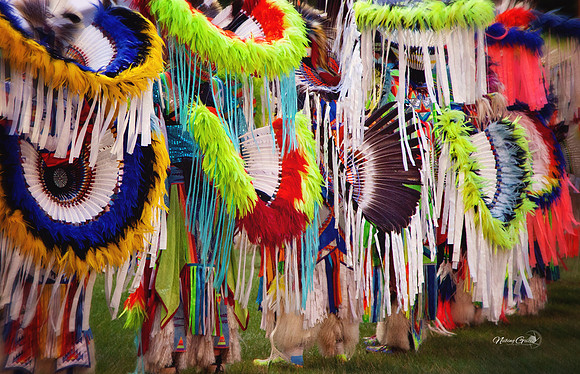 feathers