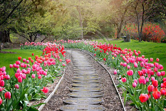 Dow Gardens 2