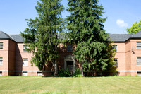 #1 Large Boys Dorm