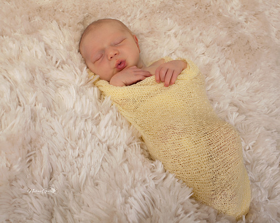 Newborn
