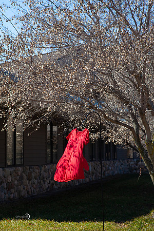 Red Dress-27