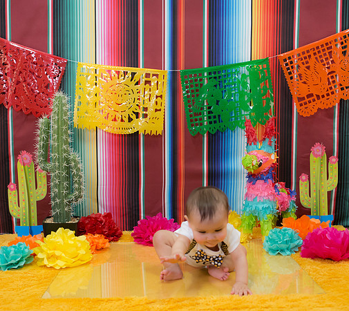 Cree Cake Smash-16