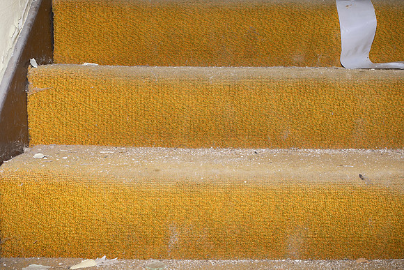 0O8A6274
