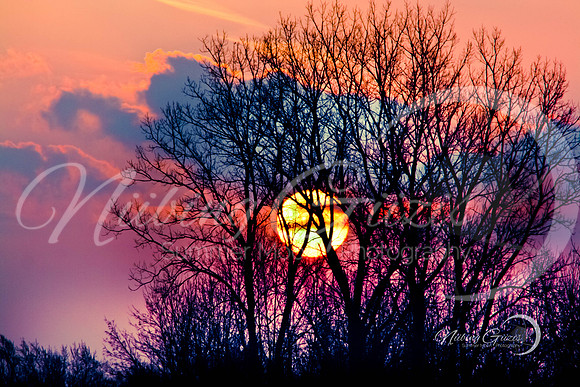 Sun Swirls