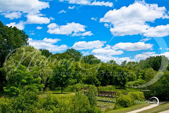 Blue Sky
