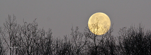 moon 33x12
