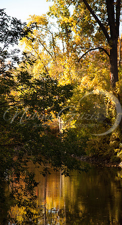 Chippewa River#1