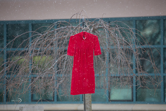 Red Dress-5