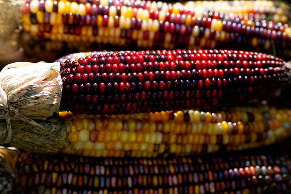 2corn