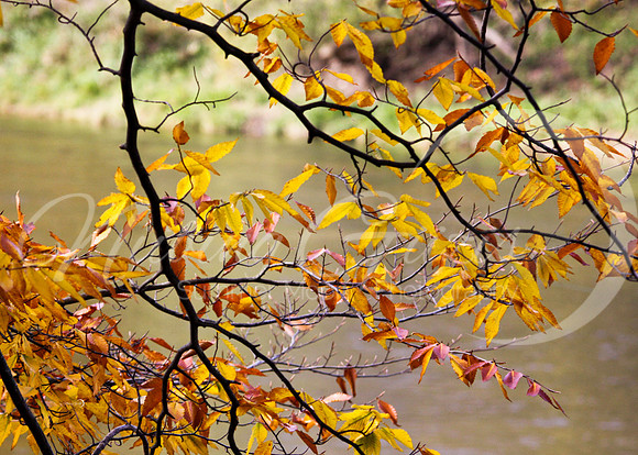chippewa river 4