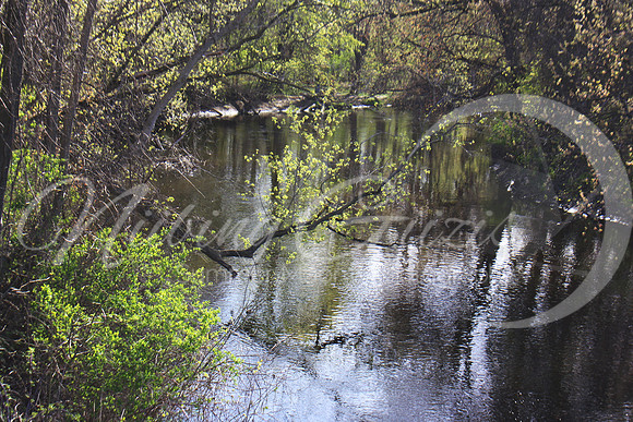 chippewa river 8