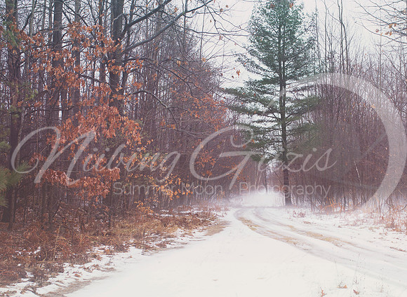 fog&snow