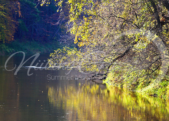 Chippewa River