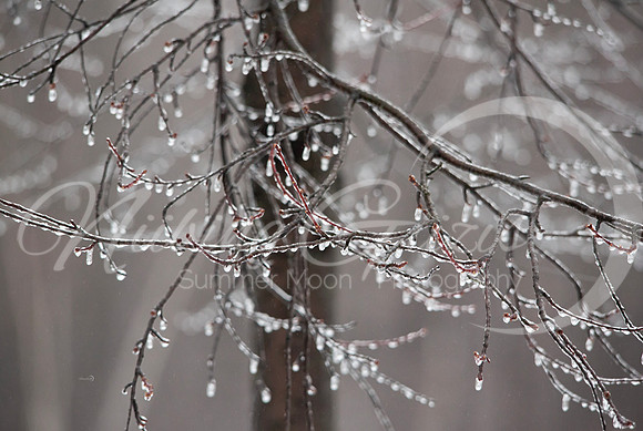 frozen