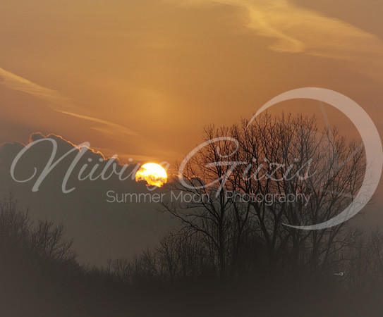 morning sun2