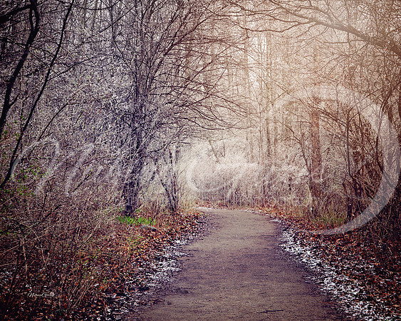 sanilac path