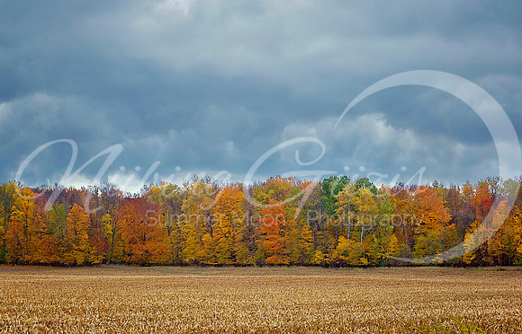 storm