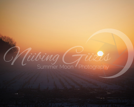 sunrise7 copy