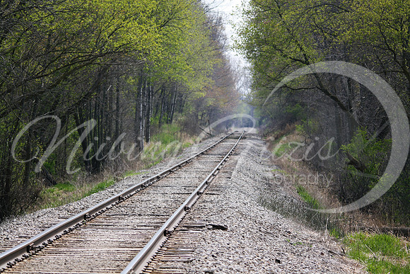 train tracks