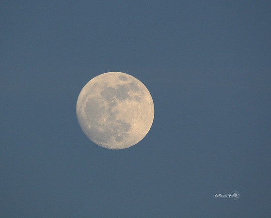moon 16.5x20.5