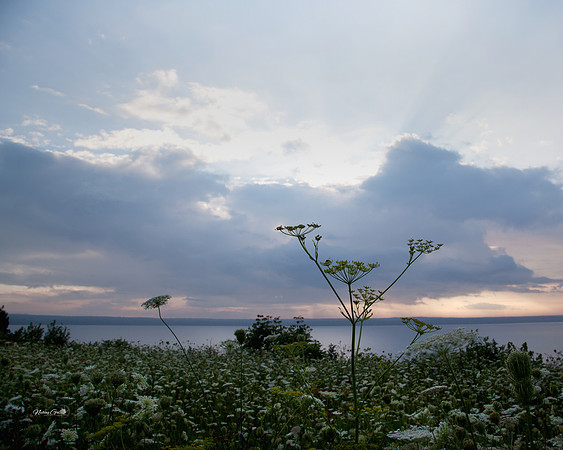 sunset1