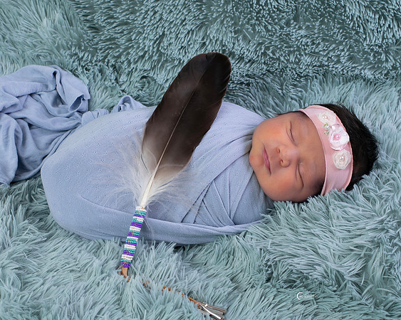 41 copy 2