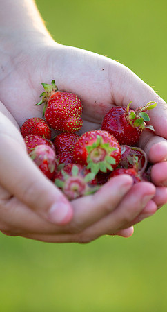 2strawberries