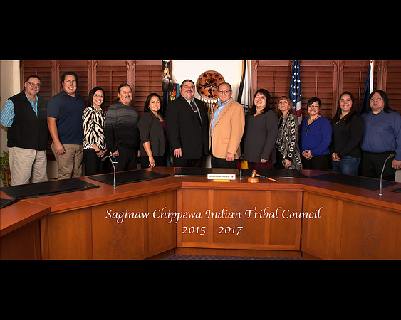 Council 2015-2017