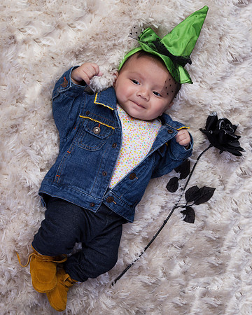 Baby Lilly