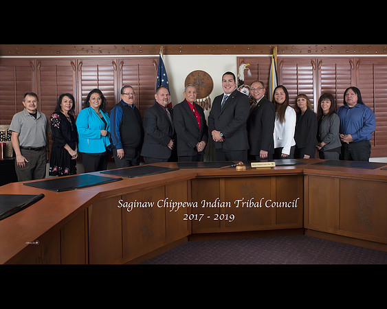 Council 2017-2019