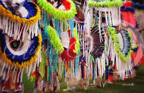 feathers